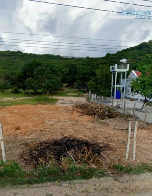 Đất Ngộp,2 mặt tiền,gần DT715,gần Sân bay Thiện Nghiệp-Mũi Né-Lâm Đồng-DT 4,9 sào - 1
