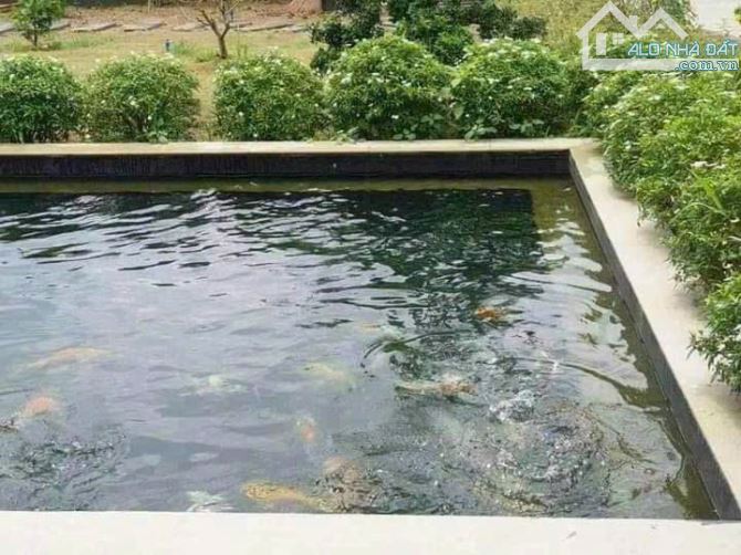 Bán biệt thự vila view sông Tân Triều - 1