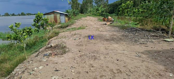 🔰 Bán đất lúa:  131.000m² (Mặt tiền 145m) 🔰 Đường bờ xáng lớn, xã Tân Công Sính - 1