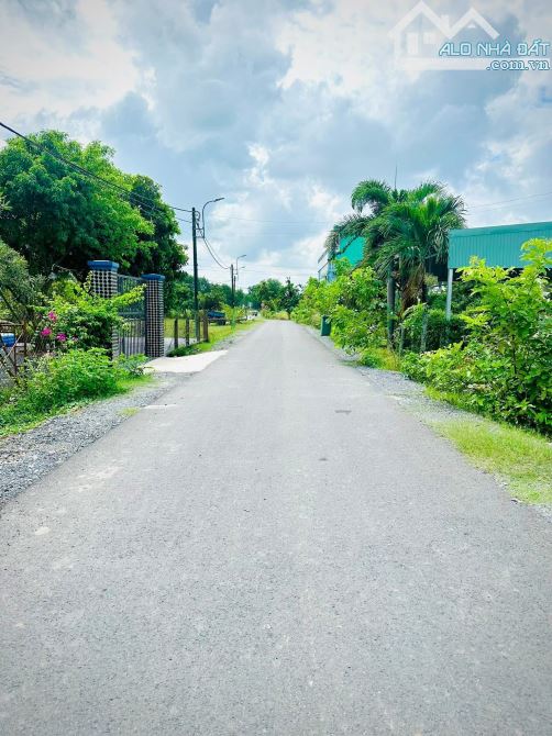 🔥 BÁN ĐẤT GIÁ RẺ – TÂN AN HỘI, CỦ CHI 🔥GIÁ 540 TRIỆU - 1