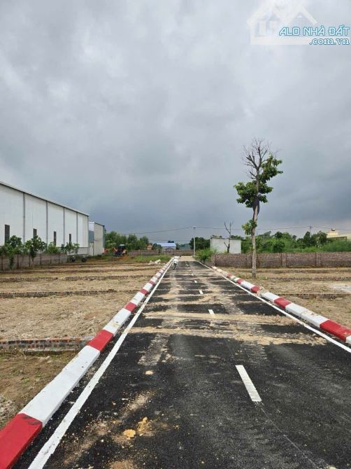 Cần bán gấp 100m2 full thổ cư mặt tiền hơn 6m tại xã minh trí huyện sóc sơn tp hà nội. - 1