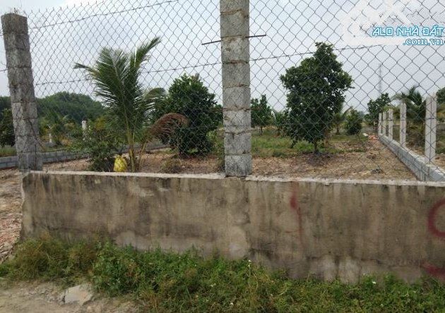 . 🔥 CHÍNH CHỦ KẸT TIỀN CẦN BÁN GẤP LÔ ĐẤT SIÊU RỘNG – GIÁ CỰC MỀM. - 1