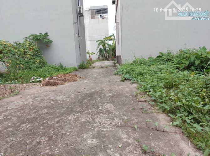 Đất Quang Minh, Mê Linh 39m2, mt4m, 2.05 tỷ, xe nhỏ. - 1