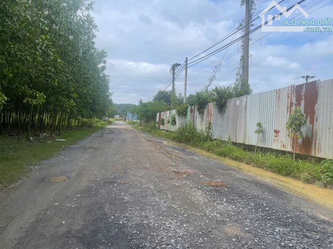 Cần bán 2 sào Thiện Tân ( Phường Trảng Dài mới) 46x46 .Có 600 m2 tc. Đường xe cont. Sát đư - 1