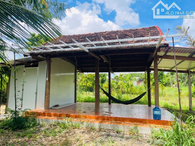 NHÀ VƯỜN VIEW SUỐI NGOẠI Ô BUÔN MA THUỘT THÔN 6 XÃ HOÀ KHÁNH - Loctran - 1
