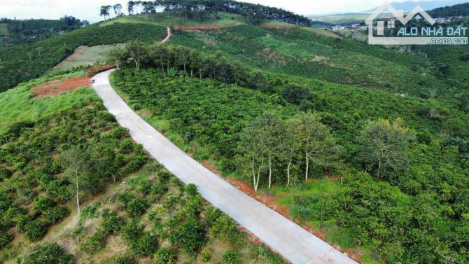 Chỉ 1.1Tr/1m2 đất thổ cư,Đường bê tông,view đồi thông,ngay nút giao cao tốc - 1