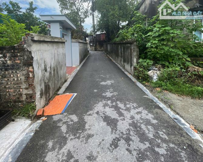 🔥 BÁN ĐẤT 42m² – LỘC HÀ, MAI LÂM, ĐÔNG ANH 🔥 - 1