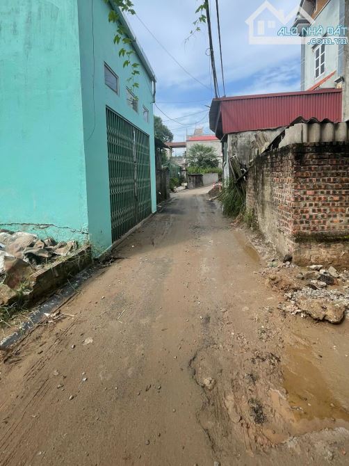 Bán đất 30,1m² chỉ 2.X Tỷ– Thôn Phúc Thọ, Mai Lâm, Đông Anh – Đầu tư và an cư. - 2