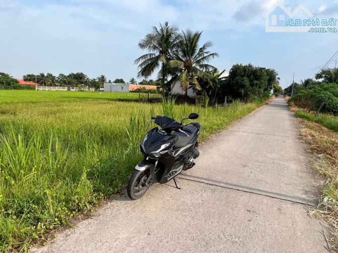10×24 thổ nhi thành thủ thừa Long An 1ty3 đường ôtô giá rẻ - 1