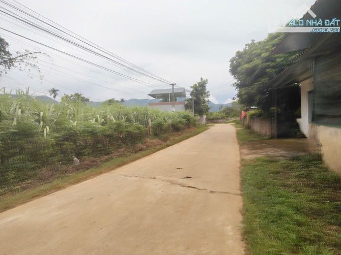 BÁN 900M FULL ĐẤT Ở  VIEW CÁNH ĐỒNG  LÚA CHÍN THOÁNG VĨNH VIỄN  CAO PHONG HB - 1