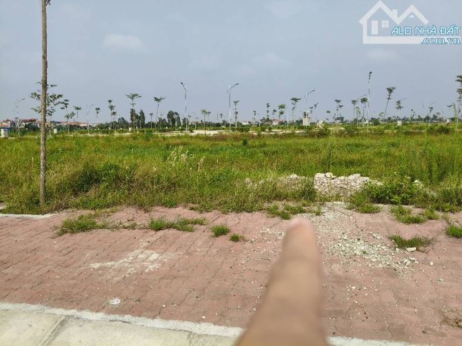BÁN ĐẤT ĐẤU GIÁ PHÂN LÔ VỈA HÈ-CẨM NINH-ÂN THI HƯNG YÊN-90M2-MT5M-2,5 TỶ - 1