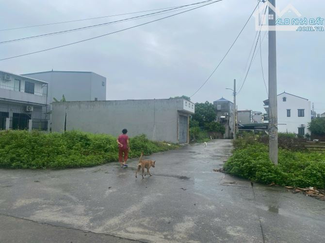 HƠN 4tỷ CÓ 63,03m2. ĐẤU GIÁ LƯƠNG QUY, ĐÔNG ANH. - 1
