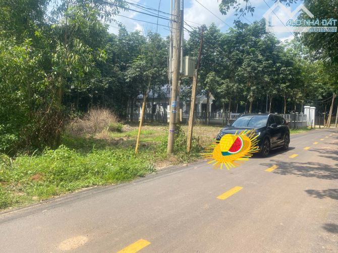 Cần bán gấp đất TP. Hồ Chí Minh 1706 m2 đất thổ vườn gần đường nhựa DH507 giá ngộp. - 1