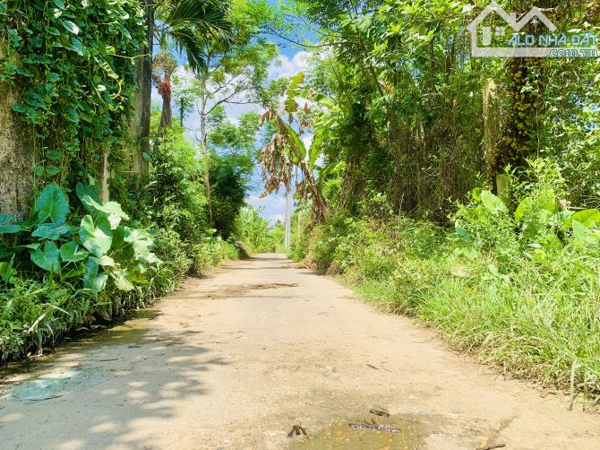 ĐIỆN PHƯƠNG - 499 - 1 LÔ DUY NHẤT - GẦN QUỐC LỘ 1A - 85m2 - MT 4m7 . - 1