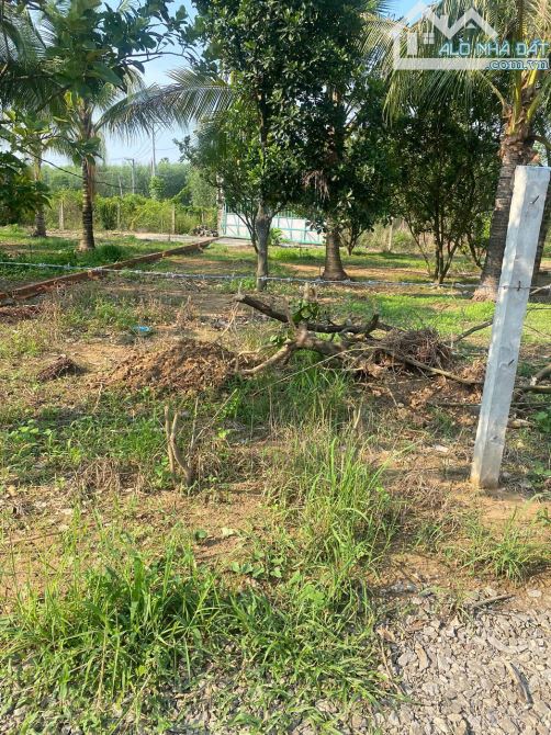 🌳 BÁN MẢNH VƯỜN TRỒNG CÂY ĂN TRÁI 500m2 – TRỊ AN ĐỒNG NAI 🌳 - 1