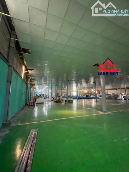 XT461 🆘Cho Thuê Xưởng Tổng Diện Tích Sử Dụng 4500m2 _ P.Tam Phước_Biên Hoà. - 1