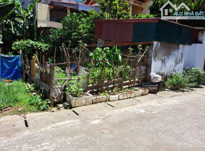 BÁN ĐẤT QUANG MINH- MÊ LINH – ĐƯỜNG THÔNG Ô TÔ TRÁNH – GẦN KCN QUANG MINH –CHỈ 3.05 TỶ - 1