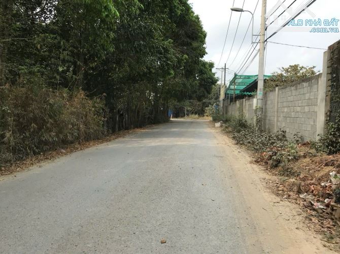 Bán Đất Mặt Tiền Đường Nguyễn Thị Châu – Phú Hòa Đông, Củ Chi – 968m², 18x54m, 6.5 Tỷ - 1