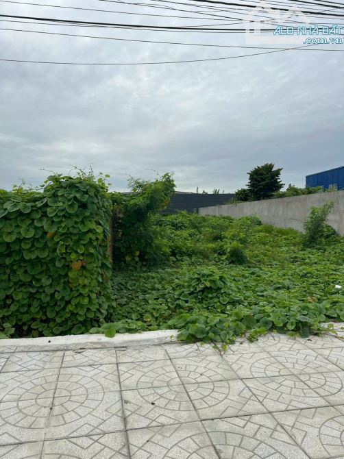 🌟 Bán nền đất mặt tiền đường Võ Văn Kiệt – Vị trí đẹp gần trung tâm TP Trà Vinh ( cũ )🌟 - 1