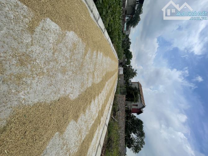 🔥Bán đất đẹp 116m/6.8m Kim Anh (Vụ Bản, Minh Trí, Sóc Sơn) đương thông oto tránh💥2.xtỷ - 1