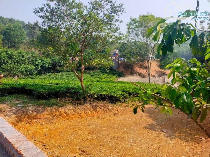Cần bán đất nghỉ dưỡng Cao Dương, Hòa Bình: - 1