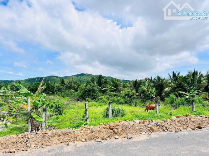 RẺ NHẤT KHU VỰC XÃ PHƯỚC HẢI - VIEW NÚI MINH ĐẠM ,CÁCH BIỂN 4KM - 1