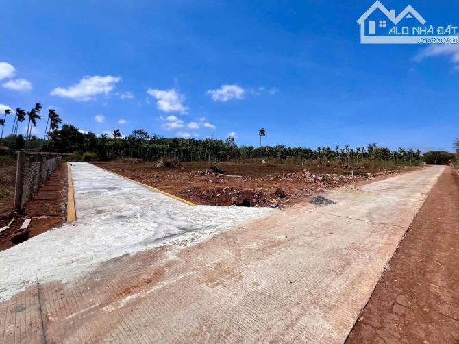 Giá tốt nhất Komleo, 5x25m thổ cư 125m², Đường bê tông khu bàn cờ - 1