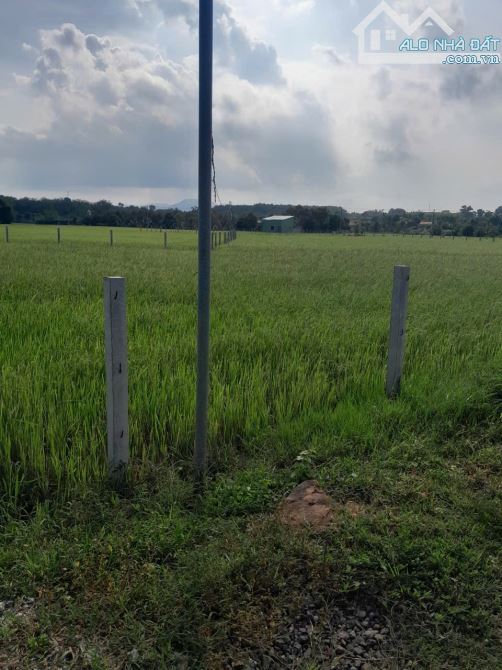 ___Cần ra gấp 3.689m2 đất (Gần  3.7 sào ) thuộc P. Tam Long TPHCM:(Long Phước Bà Rịa Vũng - 1