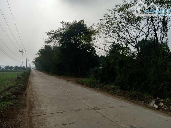 Cho thuê hơn 2ha đất trang trại, kho xưởng gần hồ Kỳ Viên xã Trần Phú, Chương Mỹ, Hà Nội. - 1