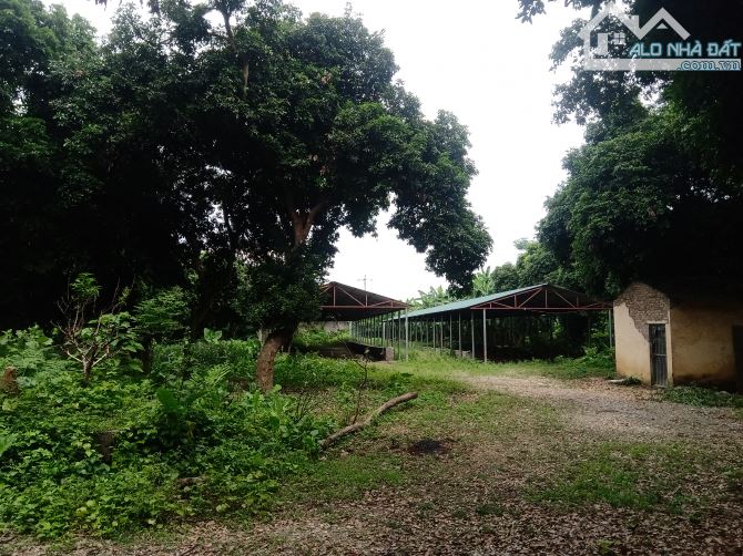 Cho thuê hơn 2ha đất trang trại, kho xưởng gần hồ Kỳ Viên xã Trần Phú, Chương Mỹ, Hà Nội. - 7
