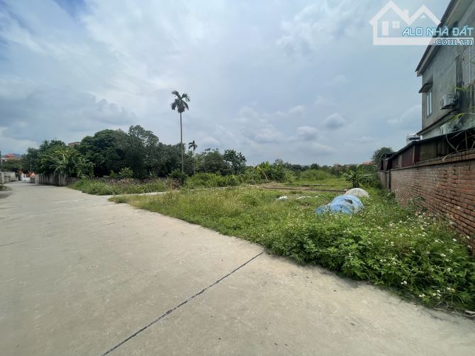 🔥Bán 120m đất Kim Anh (Minh Trí Sóc Sơn) đường thông Oto tránh, giá đầu tư cực đẹp💥💥💥 - 1