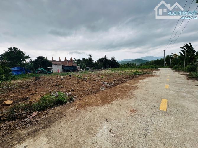 Diên Lâm cách TL8 chỉ vài bước chân 539 triệu có sổ hồng trao tay. Diện tích 181,4m2 - 1