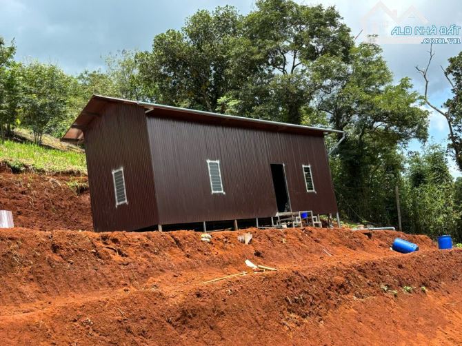 Bán đất 9000m2 tại Quốc lộ 14, Xã Thuận Hạnh, Dăk Song, Đắk Nông, chỉ với 1,5 tỷ - 20