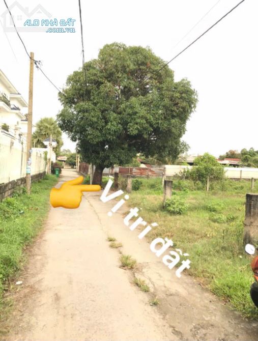 ✅✅✅ cần bán gấp  3 lô đất thổ cư liền kề Xã Tân An Hội, CỦ CHI
