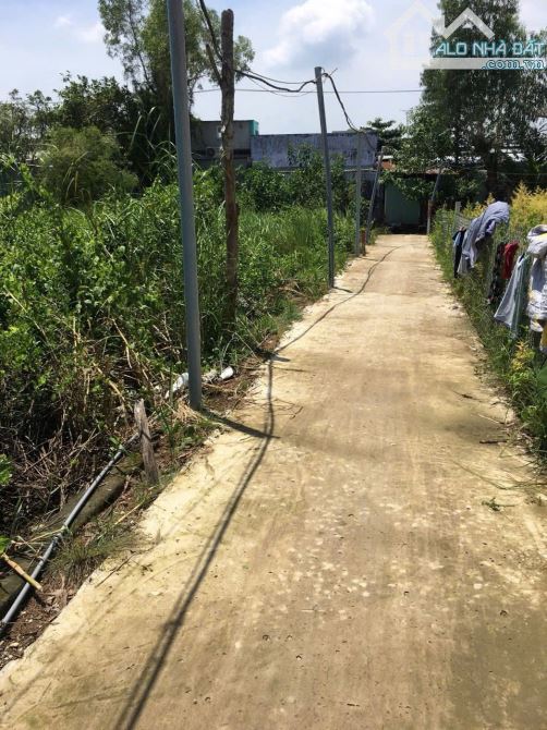 Cần bán lô đất đường Trần Quang Quờn, Bình Khánh, Cần Giờ - 2