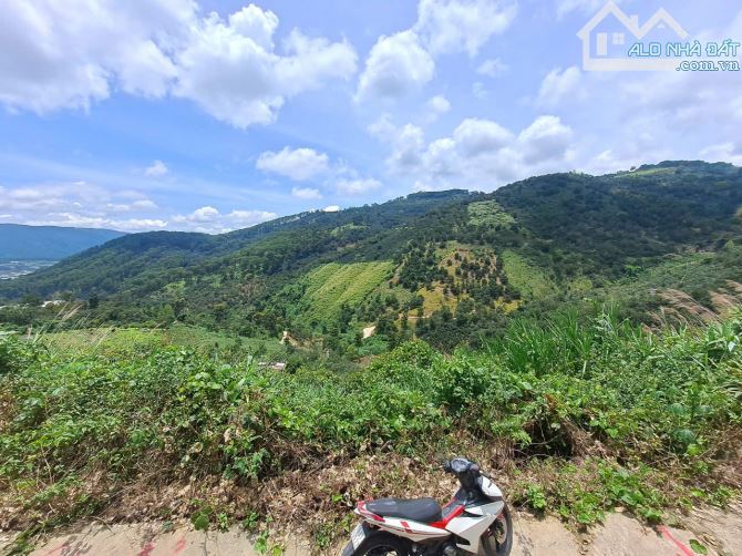 Cần bán Lô Đất khu Vực Trạm Hành , P. Xuân Trường view đẹp - 2