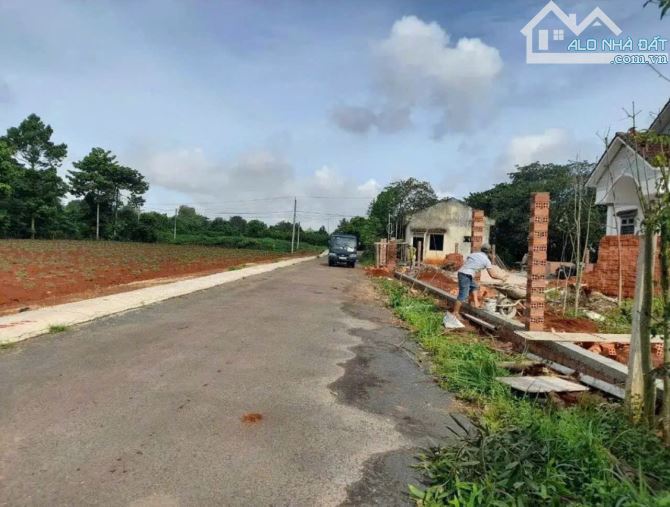 Cơ Hội Siêu Hiếm Lô Đất Đẹp 195m² Chỉ 920 Triệu Giá Siêu Rẻ - 2