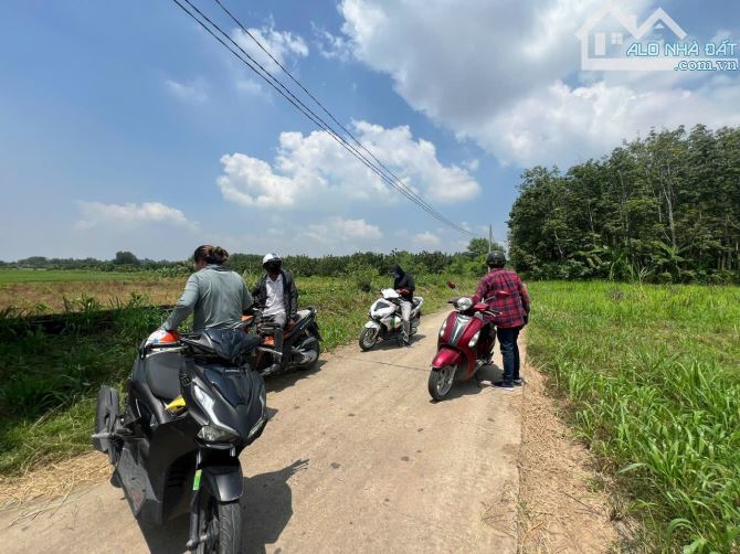 Bán đất view sông Đồng Nai Bình Lợi - 2