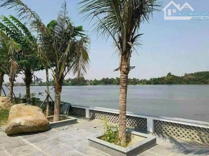 Bán biệt thự vila view sông Tân Triều - 2