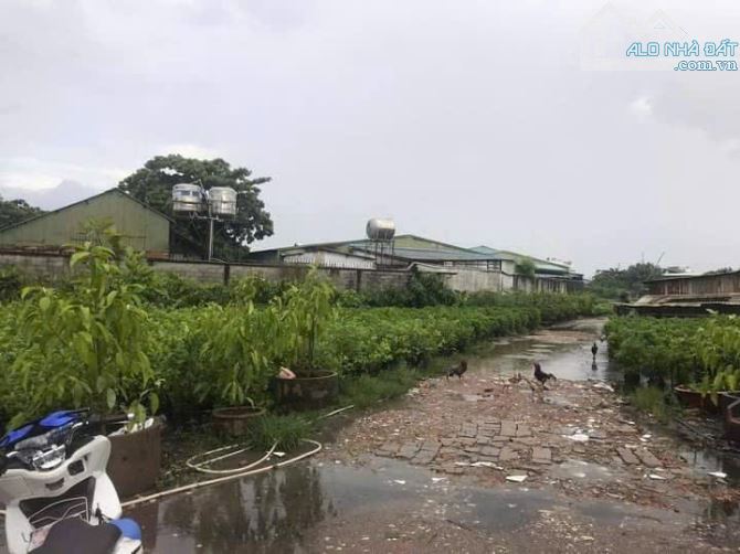 Mặt tiền sông Vàm Thuật  8672m2 (76x147)  đất giáo dục Phan Huy Ích  Gò Vấp  Giá 190 Tỷ - 2