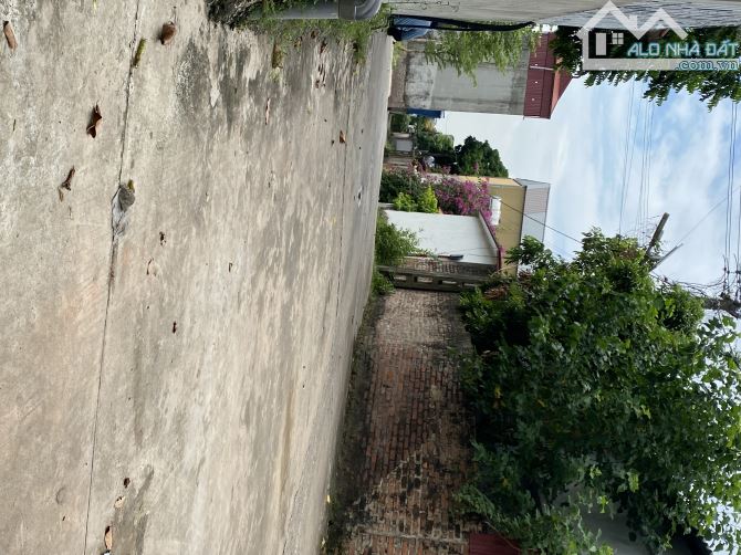 💥 Bán 100m đất thổ cư Minh Phú Sóc Sơn - Đường thông ô tô - 2