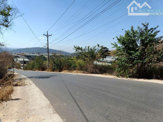 Bán Đất Biệt Thự View Rừng Thông – Xã Xuân Thọ (Phường Xuân Trường), TP. Đà Lạt - 2