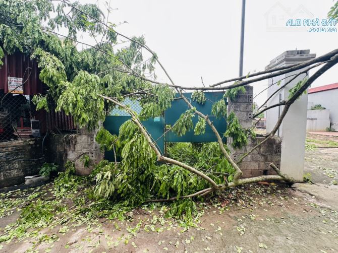 Ô TÔ TẢI VÀO ĐẤT, Ở SƯỚNG - ĐT TIỀM NĂNG TĂNG GIÁ CAO - TRỤC CHÍNH ĐƯỜNG TO BỰ - SỔ ĐẸP - 2