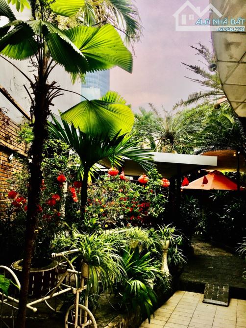 🔥 SỐC! NGUYỄN DU – 405M² – GIÁ CỰC HẤP DẪN 🔥 - 2