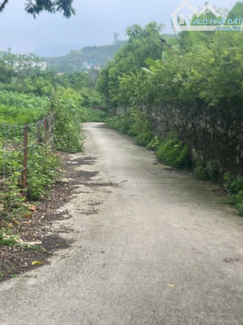 Bán 2400m2 200m thổ cư mặt tiền 90m tại Lập Thành Đông Xuân xã Yên Xuân ( Quốc Oai cũ) - 2