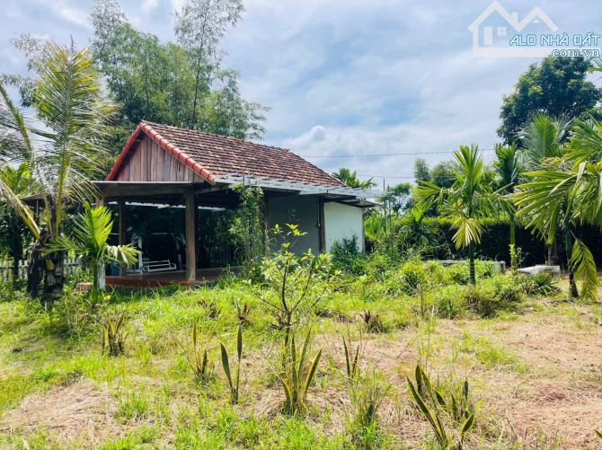 NHÀ VƯỜN VIEW SUỐI NGOẠI Ô BUÔN MA THUỘT THÔN 6 XÃ HOÀ KHÁNH - Loctran - 2