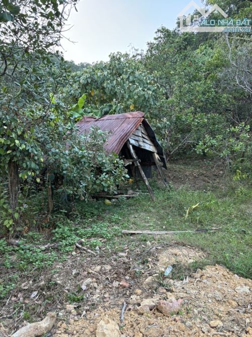 Bán đất tại Đường Tỉnh lộ 721, 900 triệu, 60000 m2, pháp lý đầy đủ - 2