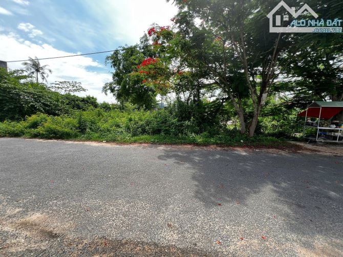 Bán đất 2 mặt tiền nhựa Hàm Hiệp gần đường Lê Duẩn - 2
