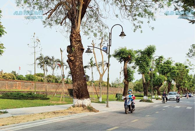🅿️BÁN 575M2 MẶT TIỀN LÊ HUÂN VIEW HOÀNG THÀNH HUẾ - TP HUẾ - CỰC HIẾM GIÁ CHỈ 120TR/M2✅ - 2