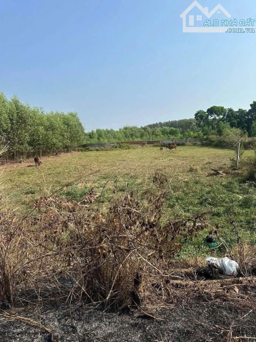 ✓B.án 10,000m2. Qh SKC. Tân An . Vĩnh Cửu  ▪️Dt : 10,000m2 mặt tiền siêu rộng ▪️Pháp lý - 2